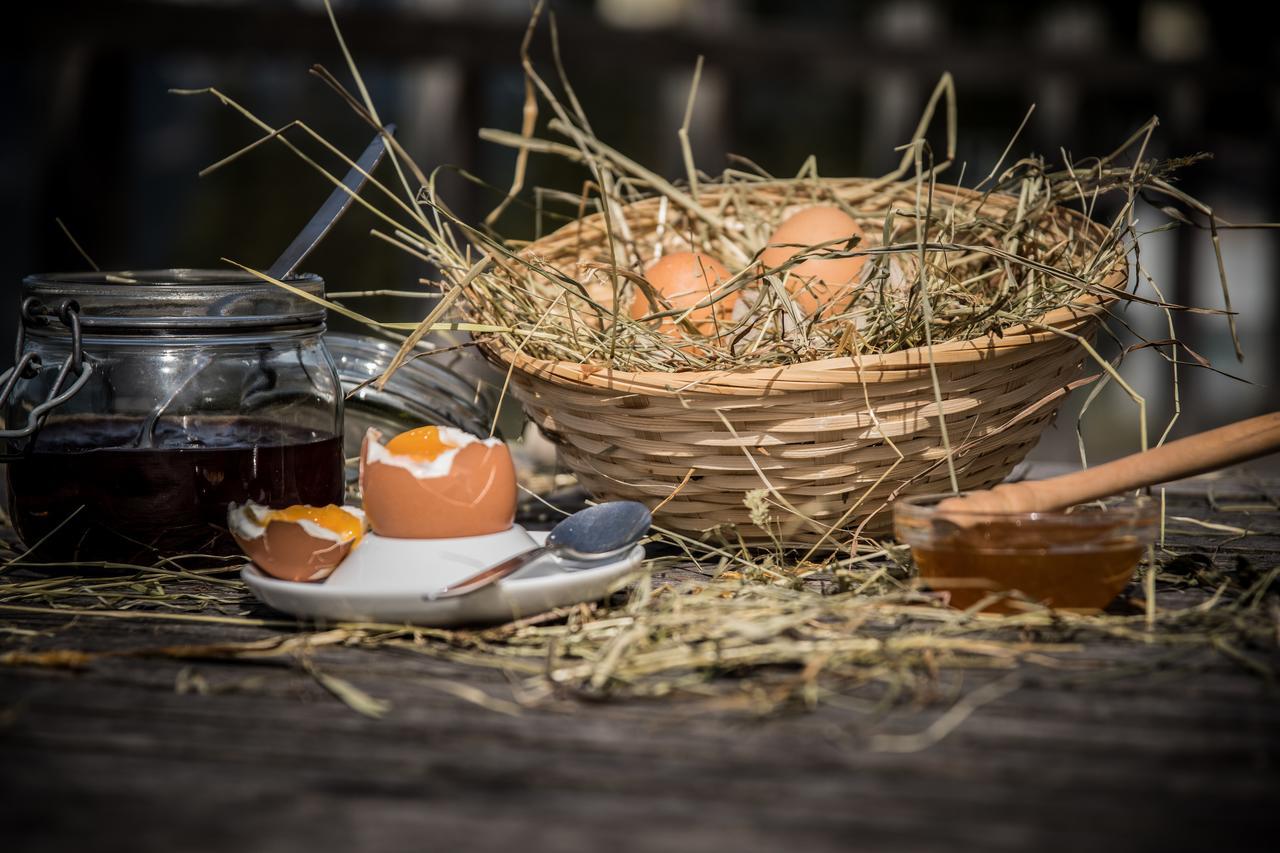 Reitlehenalm Otel Altenmarkt im Pongau Dış mekan fotoğraf
